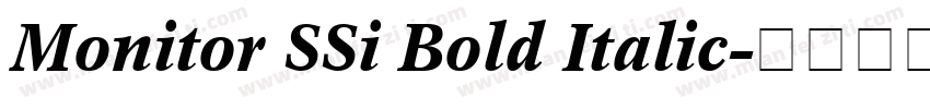 Monitor SSi Bold Italic字体转换